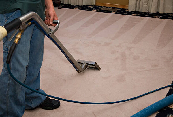 edima_cleaning_carpet_uphostery